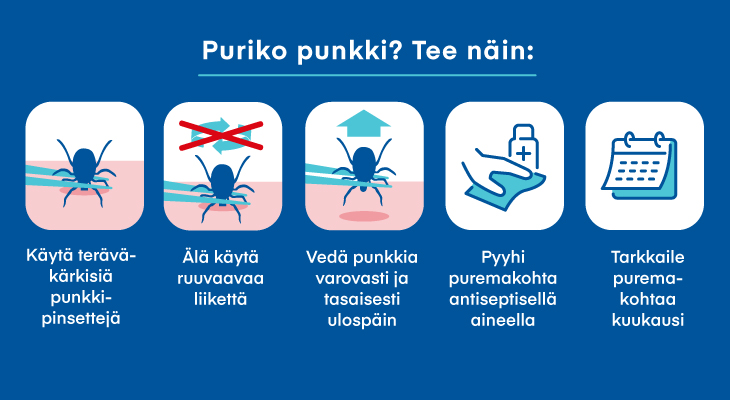 IHA_borrelioosi_infografiikka_730x400.jpg